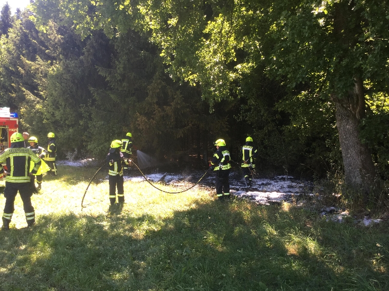 Feld- bzw. Waldbrand Feld- bzw. Waldbrand